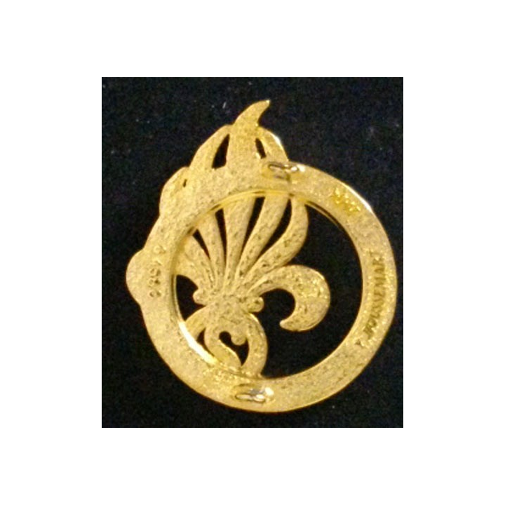 2° REI : 2° RÉGIMENT ÉTRANGER D'INFANTERIE INSIGNE DE BÉRET (4580)