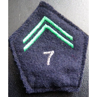 Soutache ( insigne de col ) officier 7° Chasseurs sur crochets