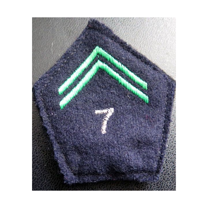 Soutache ( insigne de col ) officier 7° Chasseurs sur crochets