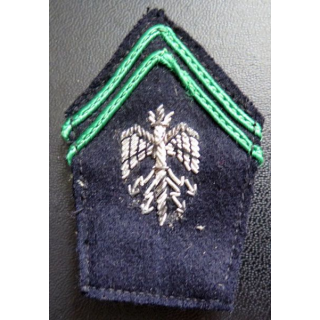 Soutache ( insigne de col ) des officiers brevetés du train en cannetille