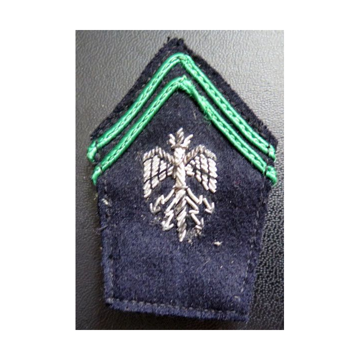 Soutache ( insigne de col ) des officiers brevetés du train en cannetille