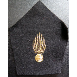 Soutache ( insigne de col ) du corps des experts 