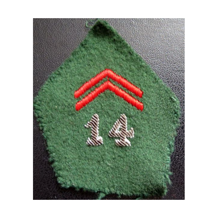 Soutache insigne de col  du 14° Esacdron régional du train cannetille