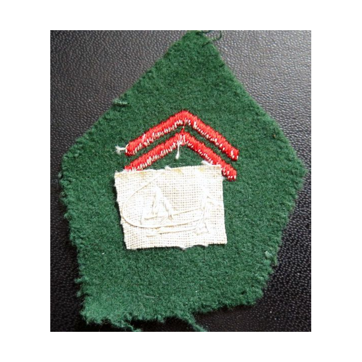 Soutache insigne de col  du 14° Esacdron régional du train cannetille
