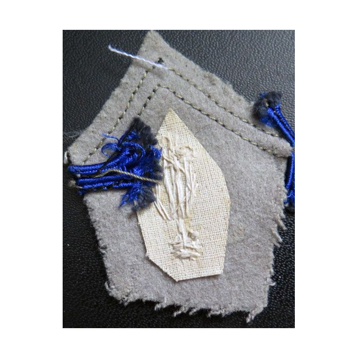 Soutache ( insigne de col ) des cadres du matériel en cannetille