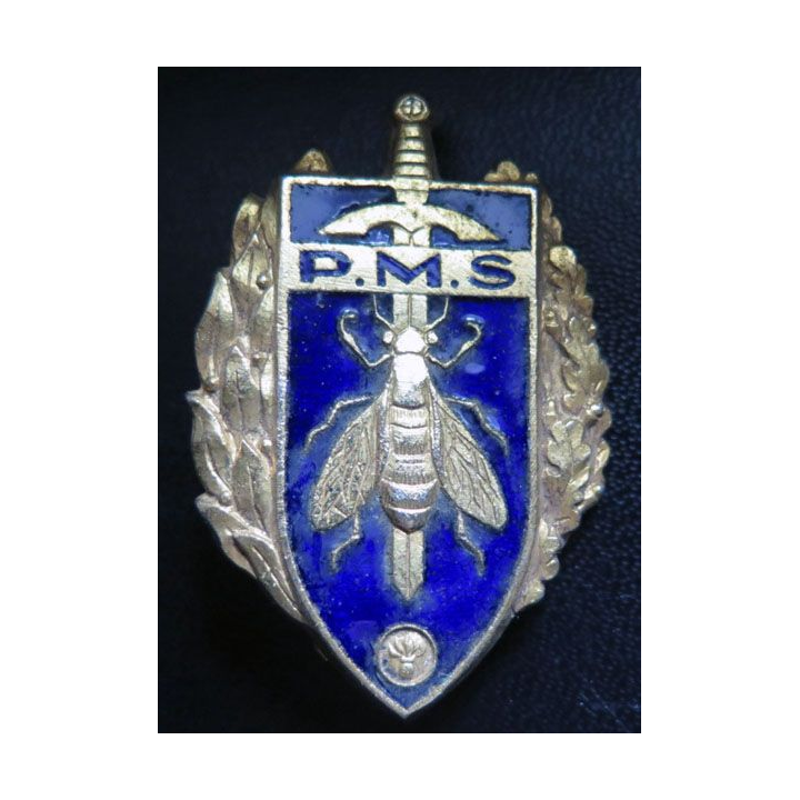 PMS brevet préparation militaire supérieure Arthus Bertrand G. 1061