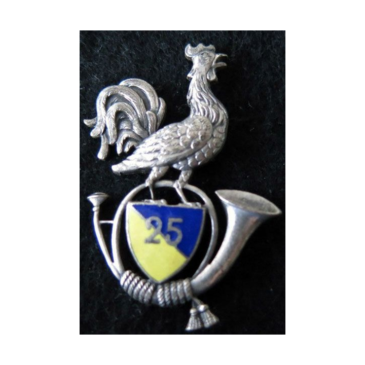 25° BCA : insigne métallique du 25° bataillon de chasseurs alpins en émail  fabrication Arthus Bertrand retirage