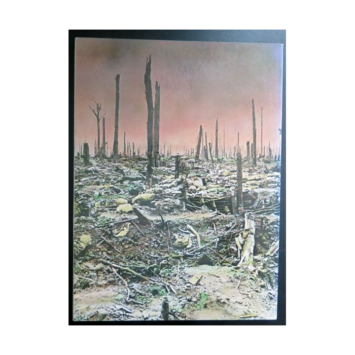 La grande guerre 1914-1918 de David Shermer