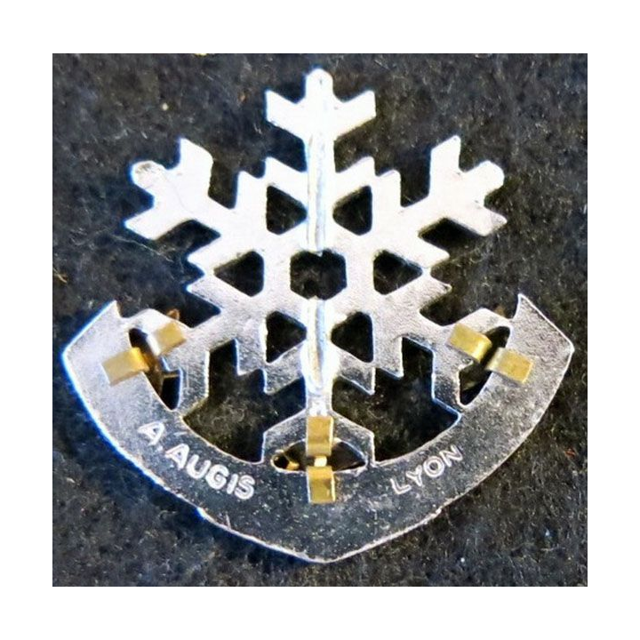 ESF : brevet de l'école du ski français 3 étoiles de fabrication Augis lyon attache cassée