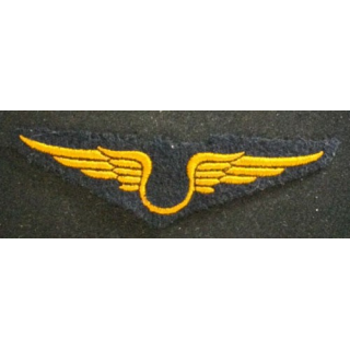 INSIGNE DE LARMÉE DE L'AIR TROUPE
