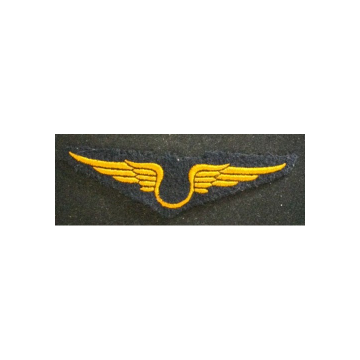 INSIGNE DE LARMÉE DE L'AIR TROUPE