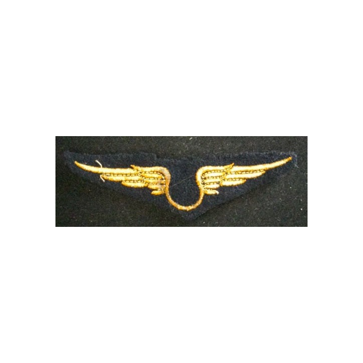 INSIGNE DE LARMÉE DE L'AIR TROUPE
