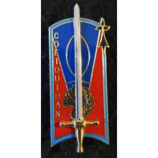 ECOLES COETQUIDAN  : insigne métallique des écoles de  Coëtquidan de fabrication Balme G. 3853