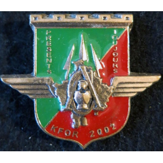 17° RGP : Compagnie d'appui du 17° régiment du génie parachutiste au Kosovo bronze massif
