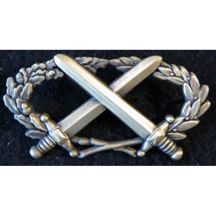 BMPE : insigne du brevet militaire professionnel élémentaire bronze clair