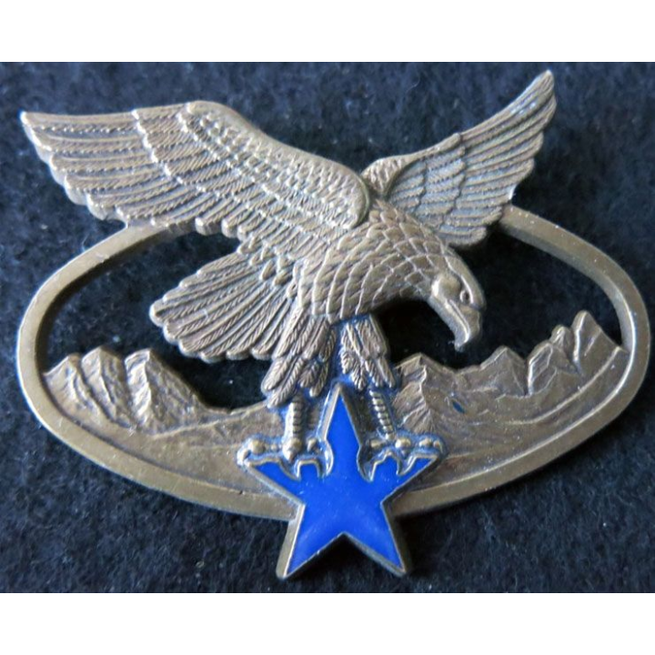 BQTM : Brevet de qualification des troupes de montagne de fabrication Drago Paris G. 2465