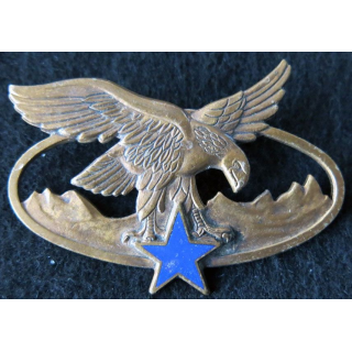 BQTM : Brevet de qualification des troupes de montagne de fabrication Drago Paris G. 2465 émail