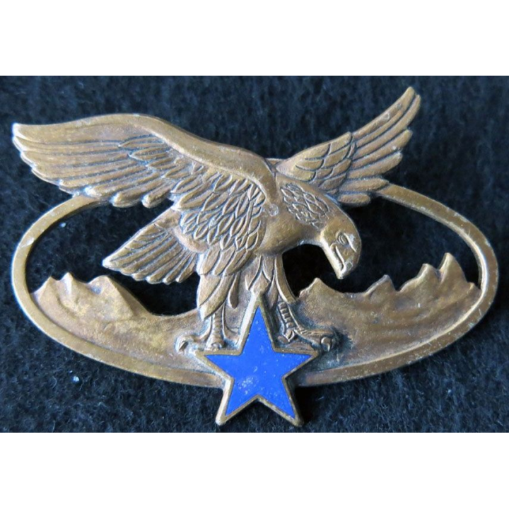 BQTM : Brevet de qualification des troupes de montagne de fabrication Drago Paris G. 2465 émail