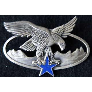 CDHM CUHM : Brevet de chef de détachement ou d'unité de haute montagne fabrication Drago Paris G. 2465 émail