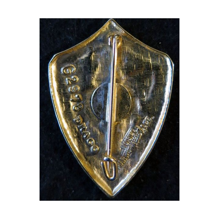 8° RCH : insigne métallique du 8° régiment de chasseurs de fabrication Drago Noisiel  vert foncé