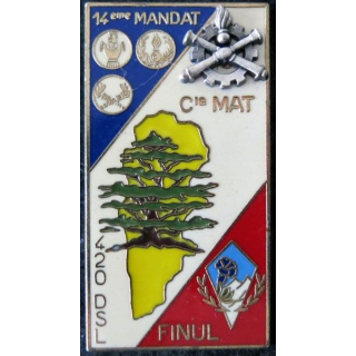 420° DSL : Insigne métallique de la compagnie Matériel du 420° détachement de soutien logistique de fabrication Delsart
