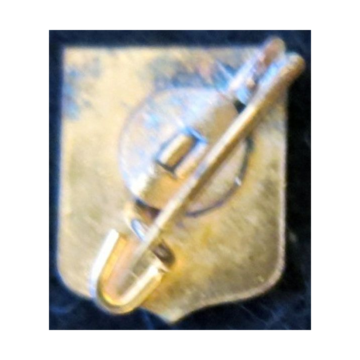 BLASON PYRENEES : insigne métallique ancien blason en émail de la région Pyrénées 12 x 14 mm épingle