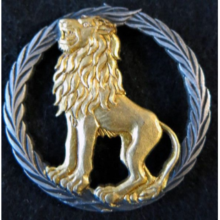 INCONNU : insigne métallique inconnu