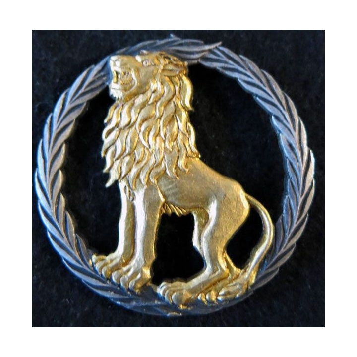 INCONNU : insigne métallique inconnu