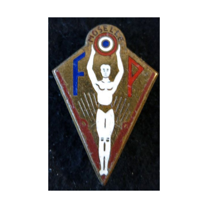 INCONNU : insigne métallique inconnu
