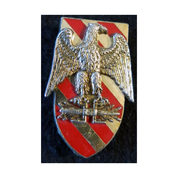 INCONNU : insigne métallique inconnu