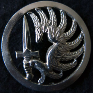 INSIGNE DE BÉRET : insigne de béret des régiments des troupes aéroportées et de chasseurs parachutistes (CL01)
