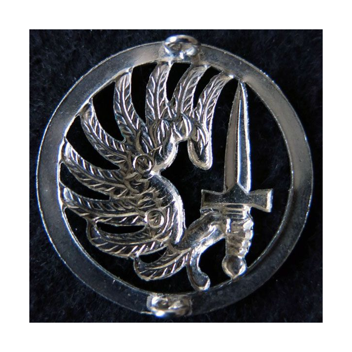 INSIGNE DE BÉRET : insigne de béret des régiments des troupes aéroportées et de chasseurs parachutistes (CL01)