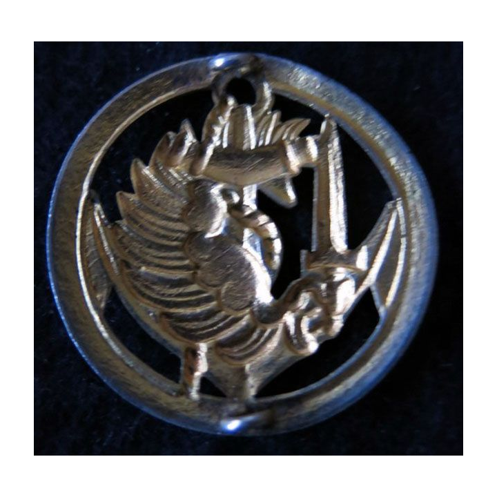 INSIGNE DE BÉRET PARA TDM : insigne de béret cerclé des troupes parachutistes aéroportées des troupes de marine doré embouti