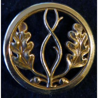 INSIGNE DE BÉRET : insigne de béret du trésor aux armées de fabrication Coinderoux doré
