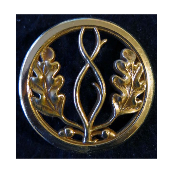 INSIGNE DE BÉRET : insigne de béret du trésor aux armées de fabrication Coinderoux doré