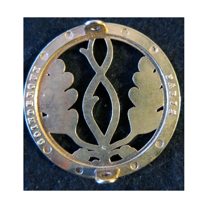 INSIGNE DE BÉRET : insigne de béret du trésor aux armées de fabrication Coinderoux doré
