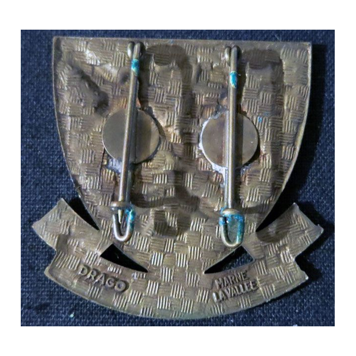 INSIGNE DE BÉRET : insigne de béret des commandos Marine fabrication Drago deux épingles