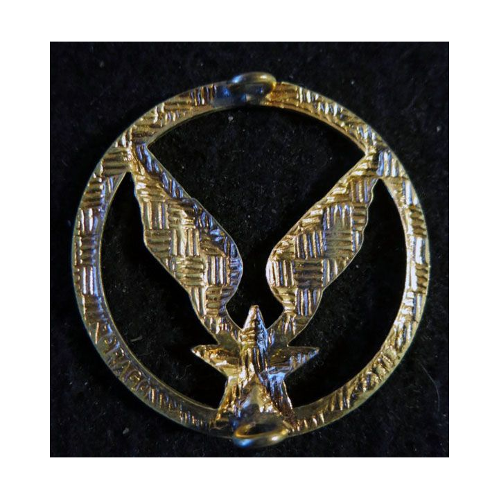INSIGNE DE BÉRET : insigne de béret de l'aviation légère de l'armée de terre ALAT Drago Paris doré