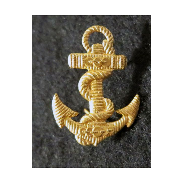 insigne de calot des troupes coloniales métal doré matricé 31 mm