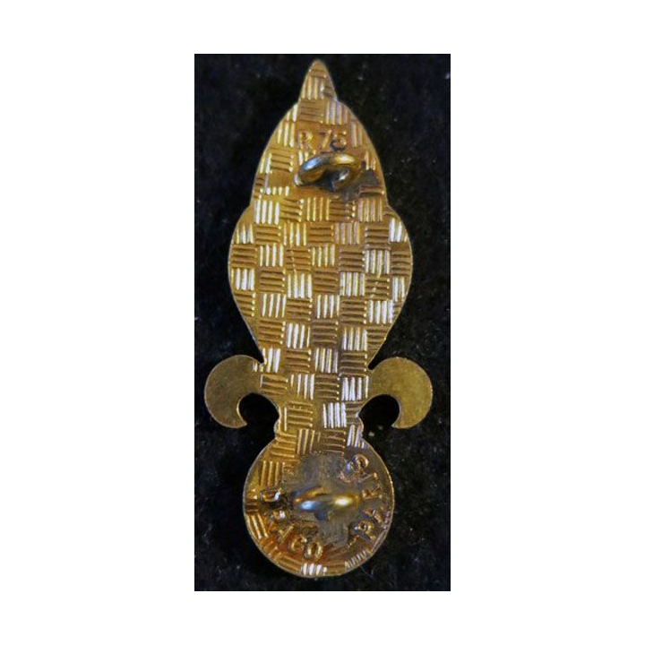 INSIGNE DE BÉRET 2° CSPL : insigne de béret 2°compagnie saharienne portée de la légion Drago Paris R75