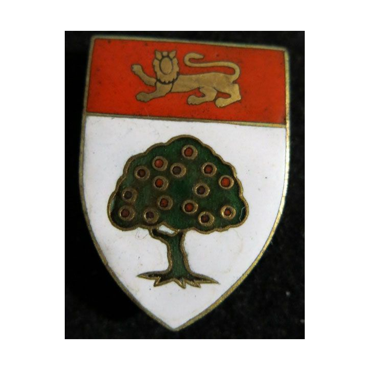 36° RI : 36° régiment d'infanterie de fabrication Chobillon en émail