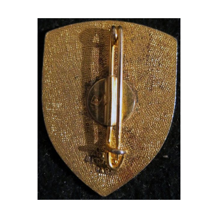 155° RIF : Insigne métallique du 155° régiment d'infanterie de forteresse 155° RI - 355° RI Arthus Bertrand Paris en émail