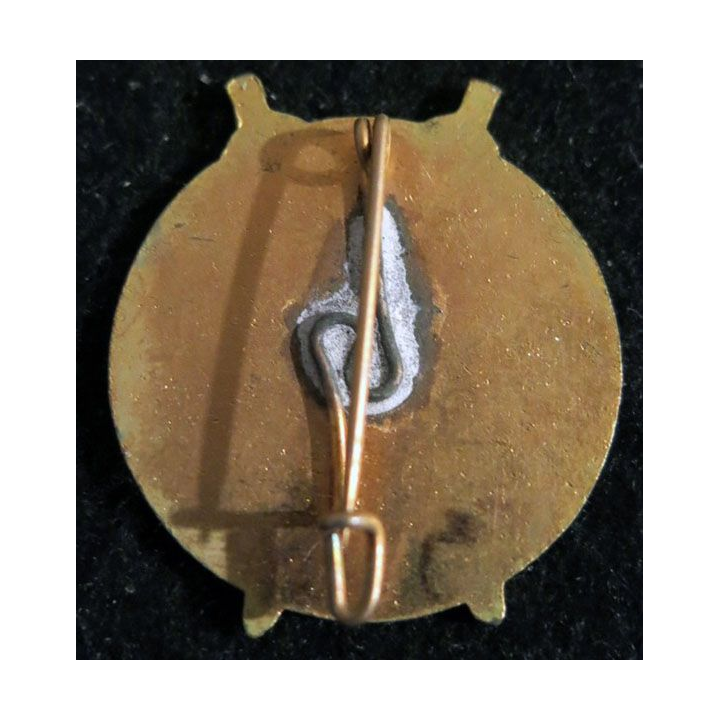 154° RIF : insigne métallique du 154° régiment d'infanterie de forteresse RIF fabrication sans ( Bacqueville) en émail