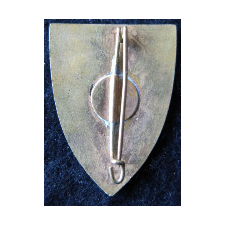 260° RI : insigne métallique du 260° régiment d'infanterie en émail