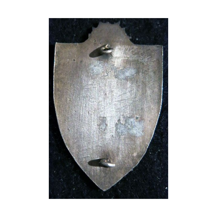 224° RI : insigne du 224° régiment d'infanterie de fabrication non marquée en émail