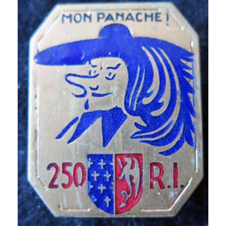 250° RI : 250° régiment d'infanterie de fabrication Arthus Bertrand Paris ( poinçon) en émail