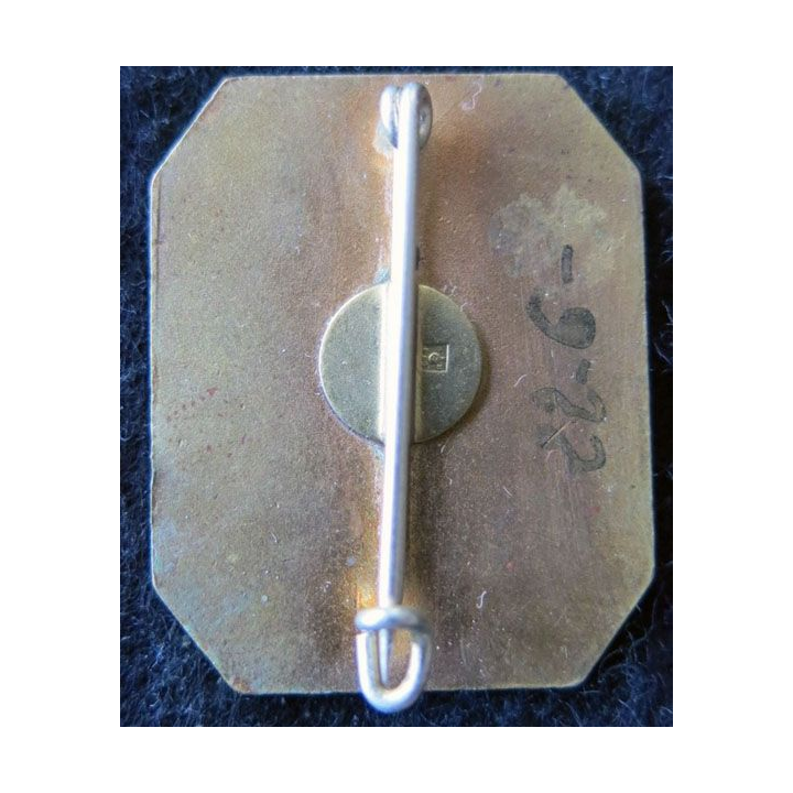 250° RI : 250° régiment d'infanterie de fabrication Arthus Bertrand Paris ( poinçon) en émail