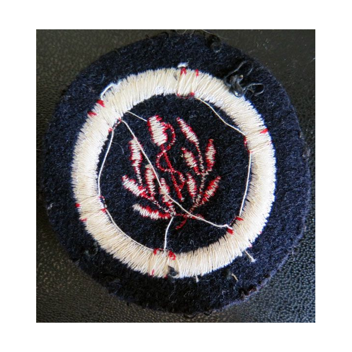 MARINE : Insigne patch écusson tissu de spécialité sauvetage médical