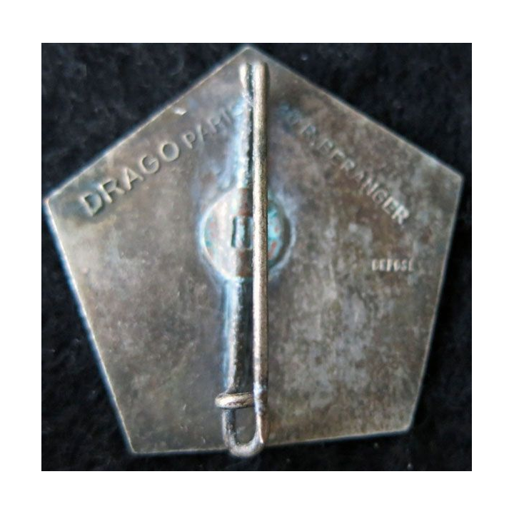 341° RIA : Insigne métallique 3° bataillon du 341° régiment  d’infanterie alpine fabrication Drago Béranger déposé en émail