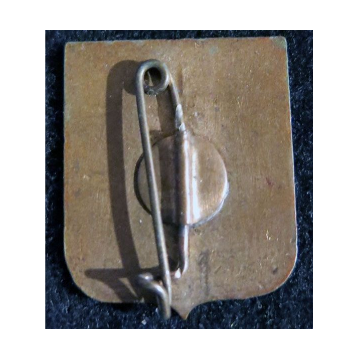 35° RI : insigne métallique du 35° régiment d'infanterie Arthus Bertrand en émail